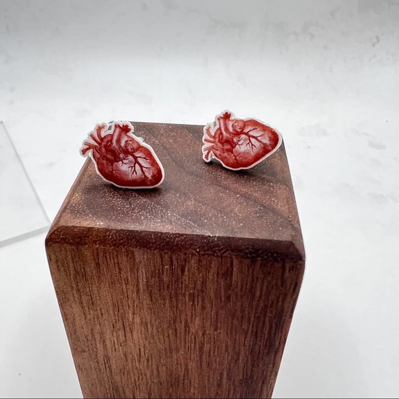 Human heart , detailed earrings. New. Anatomically correct. - Picture 10 of 10
